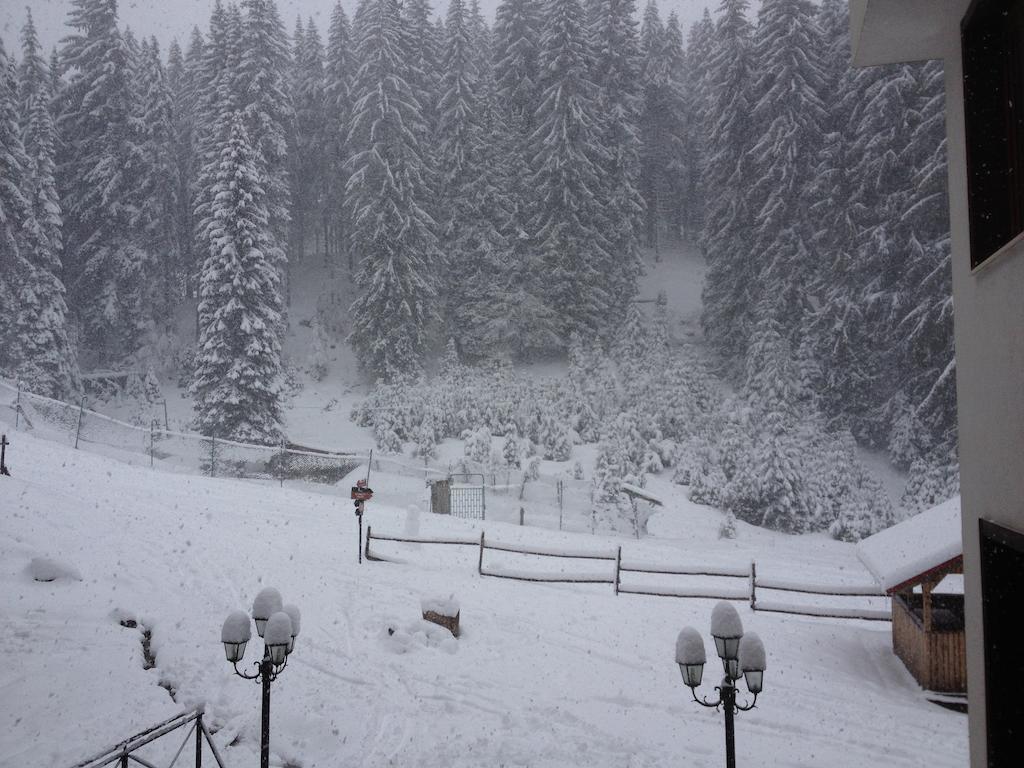 Ski Apartment In Castle Complex Pamporovo Chambre photo